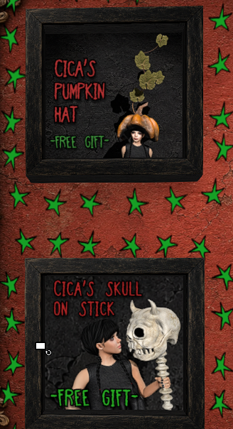 C I C A image