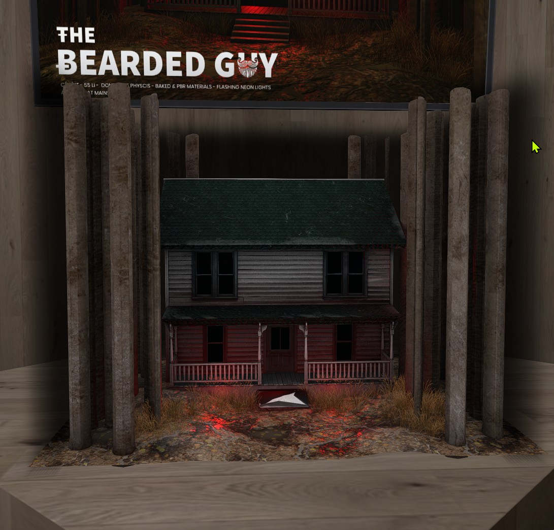The Bearded Guy image